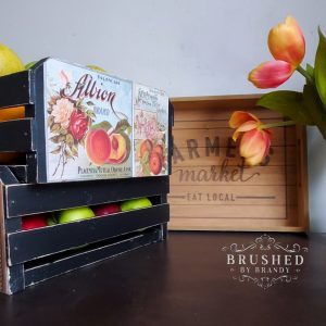 Vintage Seed - Redesign with Prima Transfer