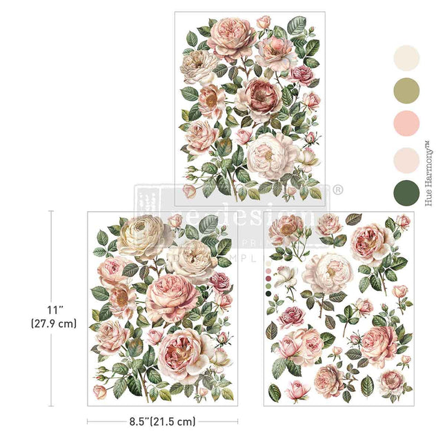 Blush Blossoms - Redesign  A4 Transfer