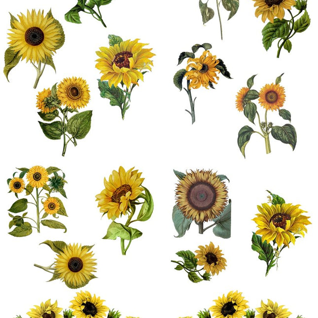 Sunflowers - Belles & Whistles Transfer