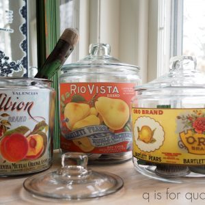 Vintage Seed - Redesign with Prima Transfer