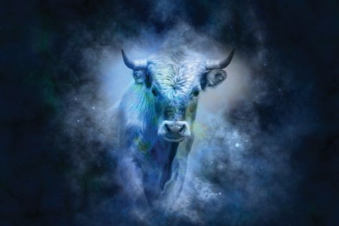 Taurus Bull - Seidenpapier Stärke 18 lb