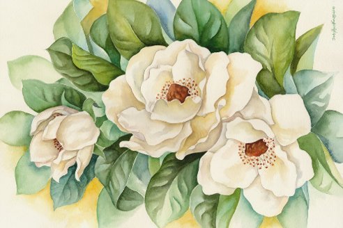 Flora Magnolia - Seidenpapier 10 lb