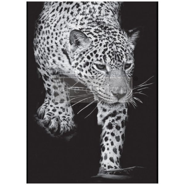 Redesign Prima Dekor Reispapier - Feline Gaze - A1