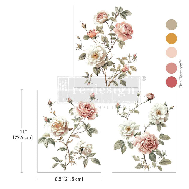 Creamy Blush Blooms - Redesign  A4 Transfer