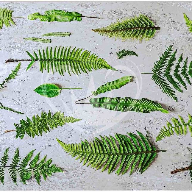 Stony Fern - Posh Chalk Decoupage