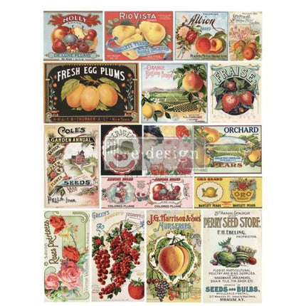 Vintage Seed - Redesign with Prima Transfer