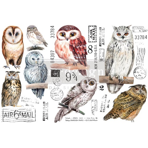 Owl - re.design Transfer ca. 15 x 30 cm
