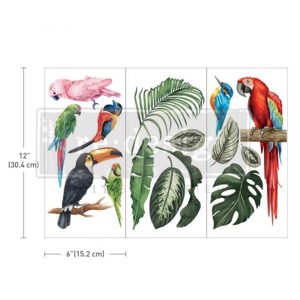 Tropical Birds - re.design Transfer